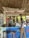 A rustic beach bar with a thatched roof and natural wooden decor. The bar, called 'Afro Beach Bar Mafia,' has stools, colorful ocean-themed wall art featuring fish and a starfish, and a variety of drinks in a cooler behind the counter. A person wearing a white tank top and shorts stands at the bar. The environment is tropical and relaxed.