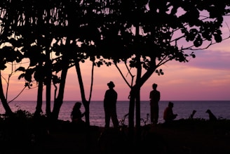 A beautiful sunset backdrop with pets and their owners enjoying an outdoor event.