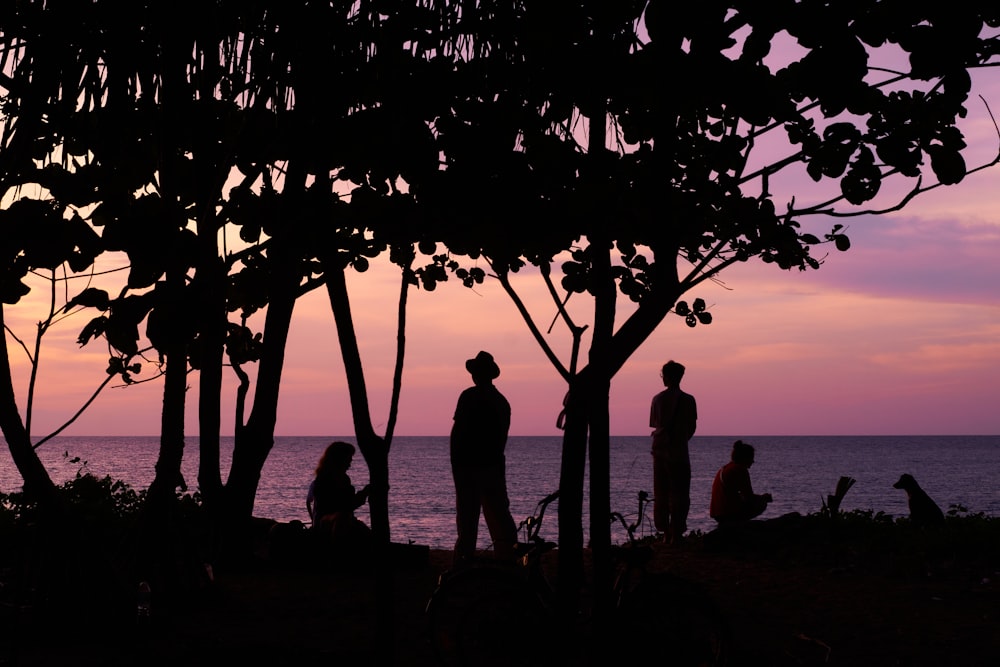 a group of people standing on top of a beach next to the ocean