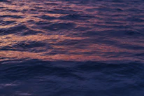 Close-up of crepuson speaker illuminated by the soft colors of sunset reflecting off ocean water.