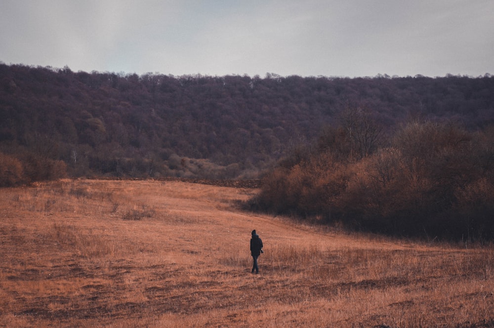 a person standing in the middle of a field