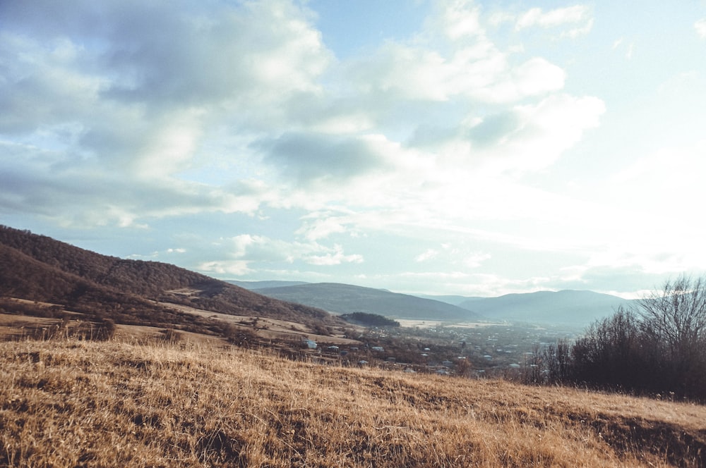 a view of a grassy field with mountains in the background