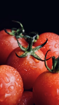 a bunch of tomatoes with water droplets on them