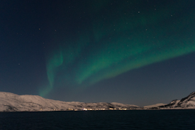 Northern lights appear as green and blue hues stretching across a starry sky over snow-covered mountains and a dark sea. The small lights from a distant town create a serene and expansive landscape.