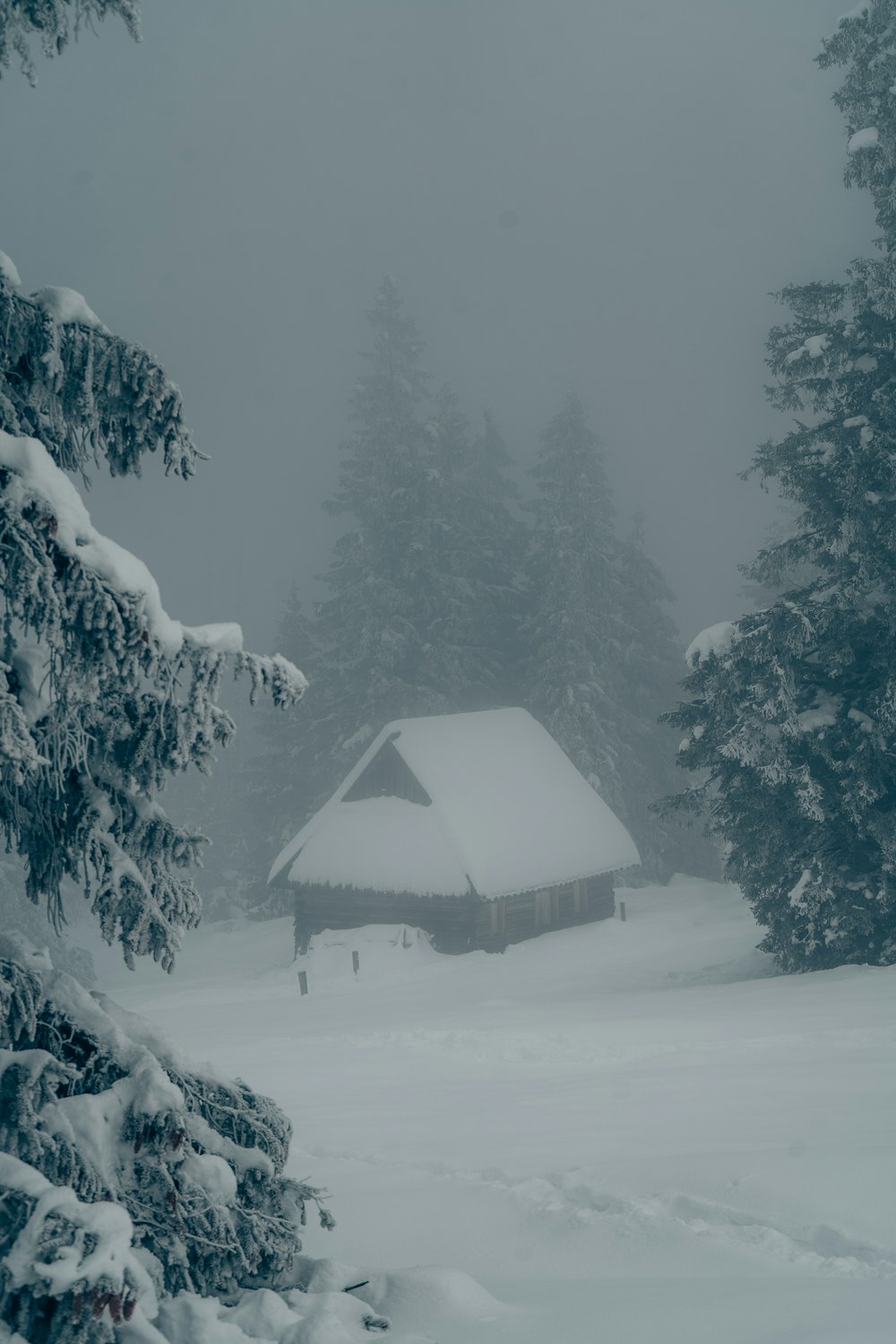 a cabin in the middle of a snowy forest