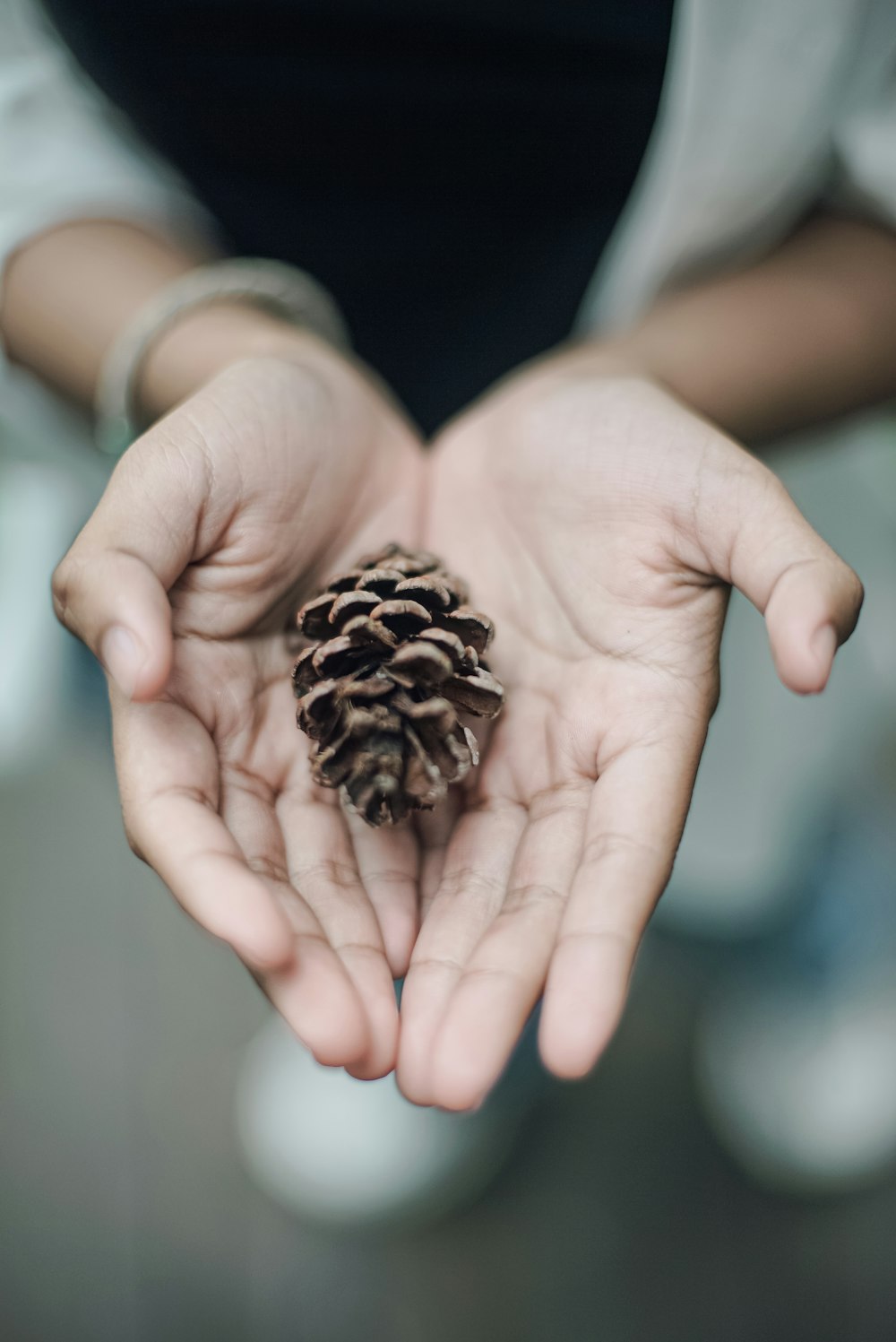 a person holding a pine cone in their hands