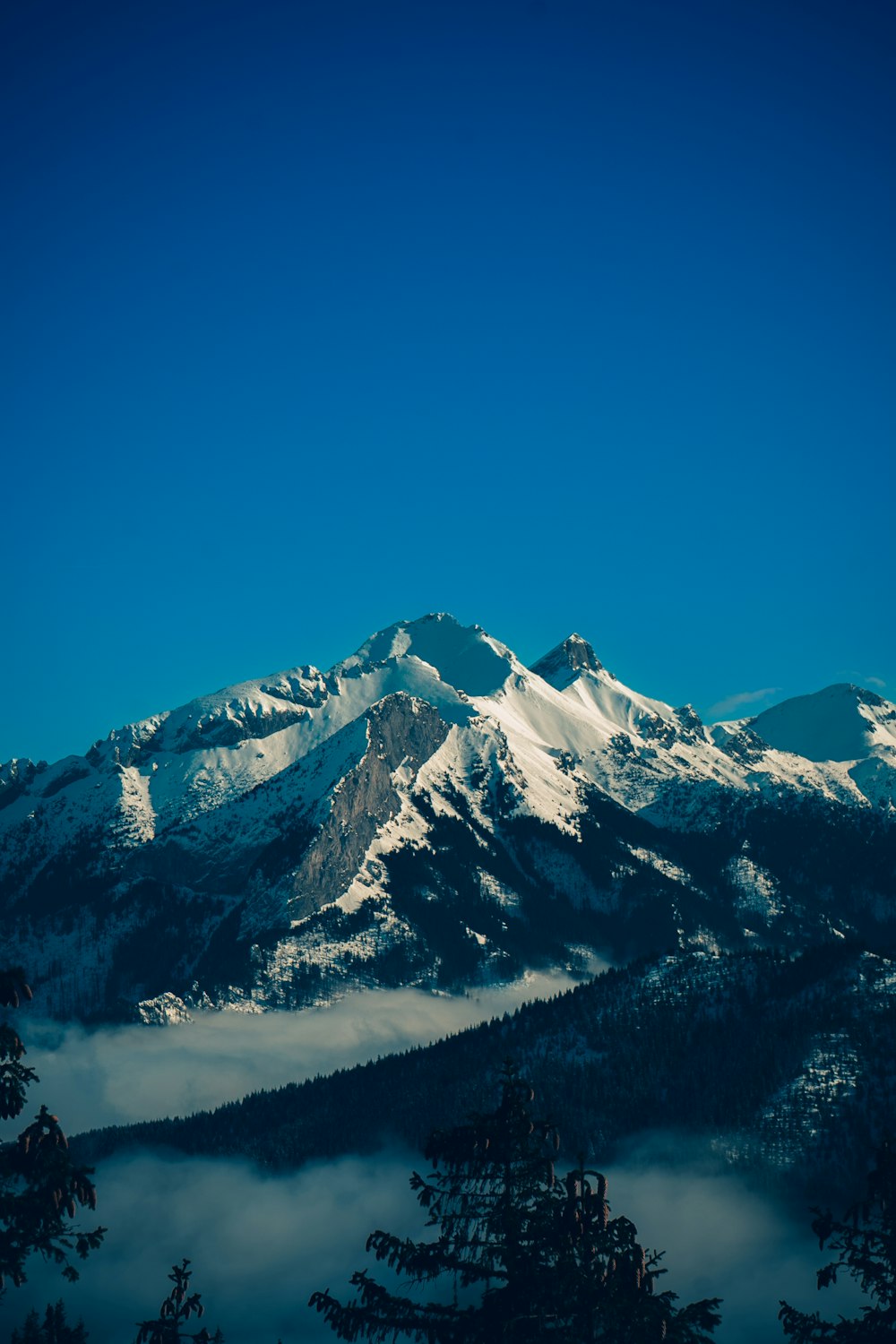 a view of a snowy mountain range from the top of a hill