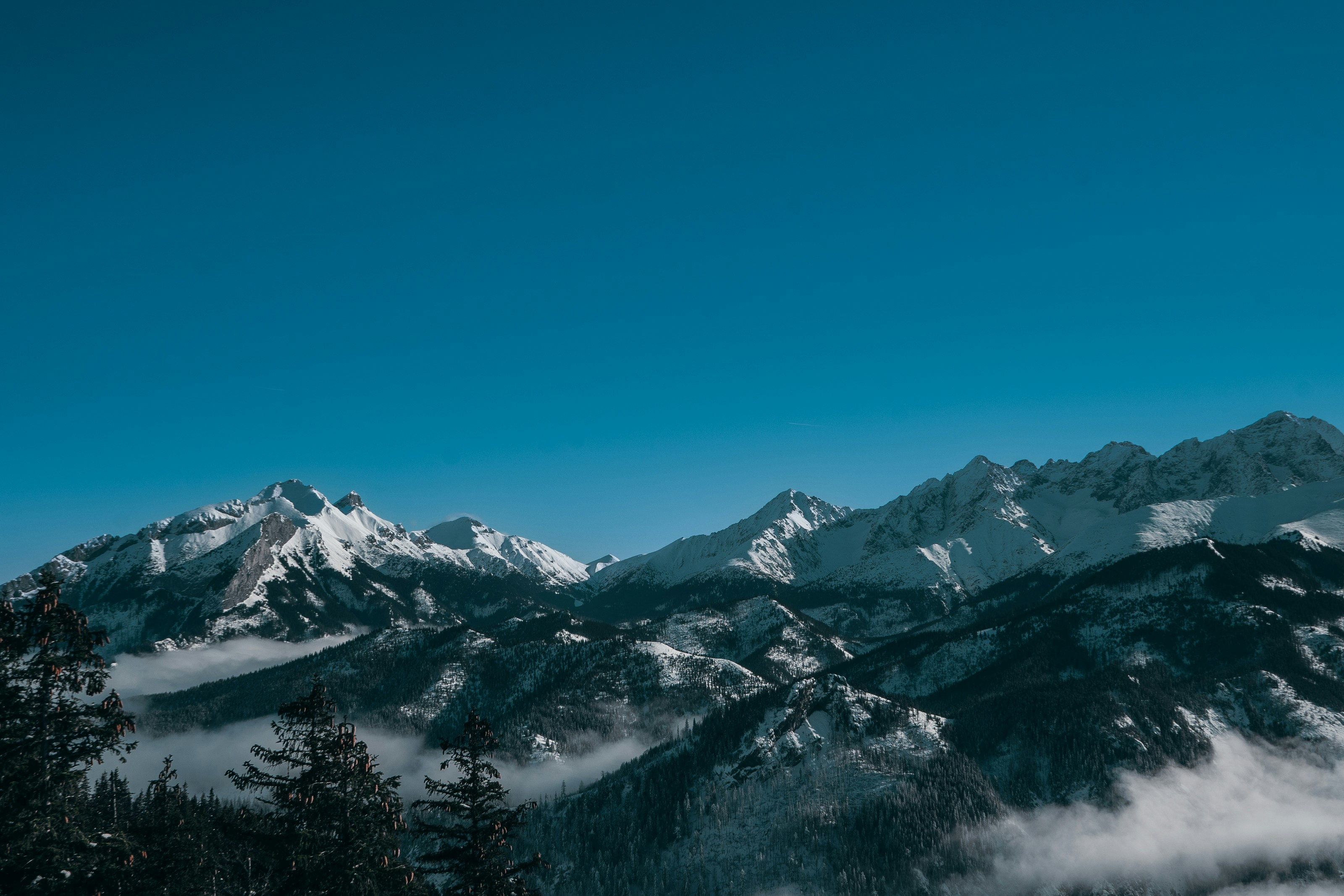 Photo by patryk_wojcieszak