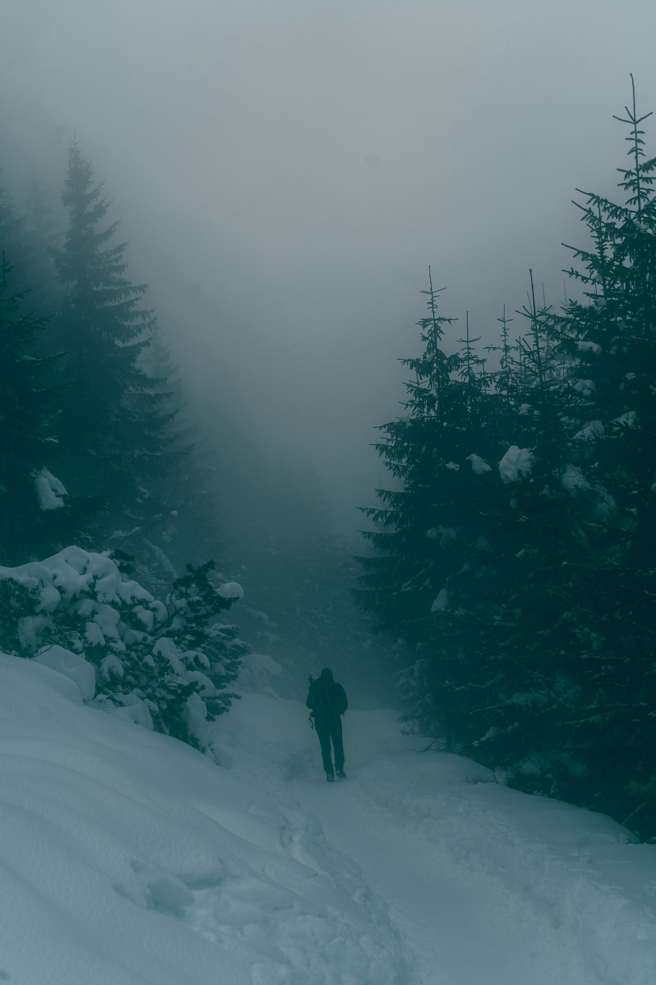 Photo by patryk_wojcieszak