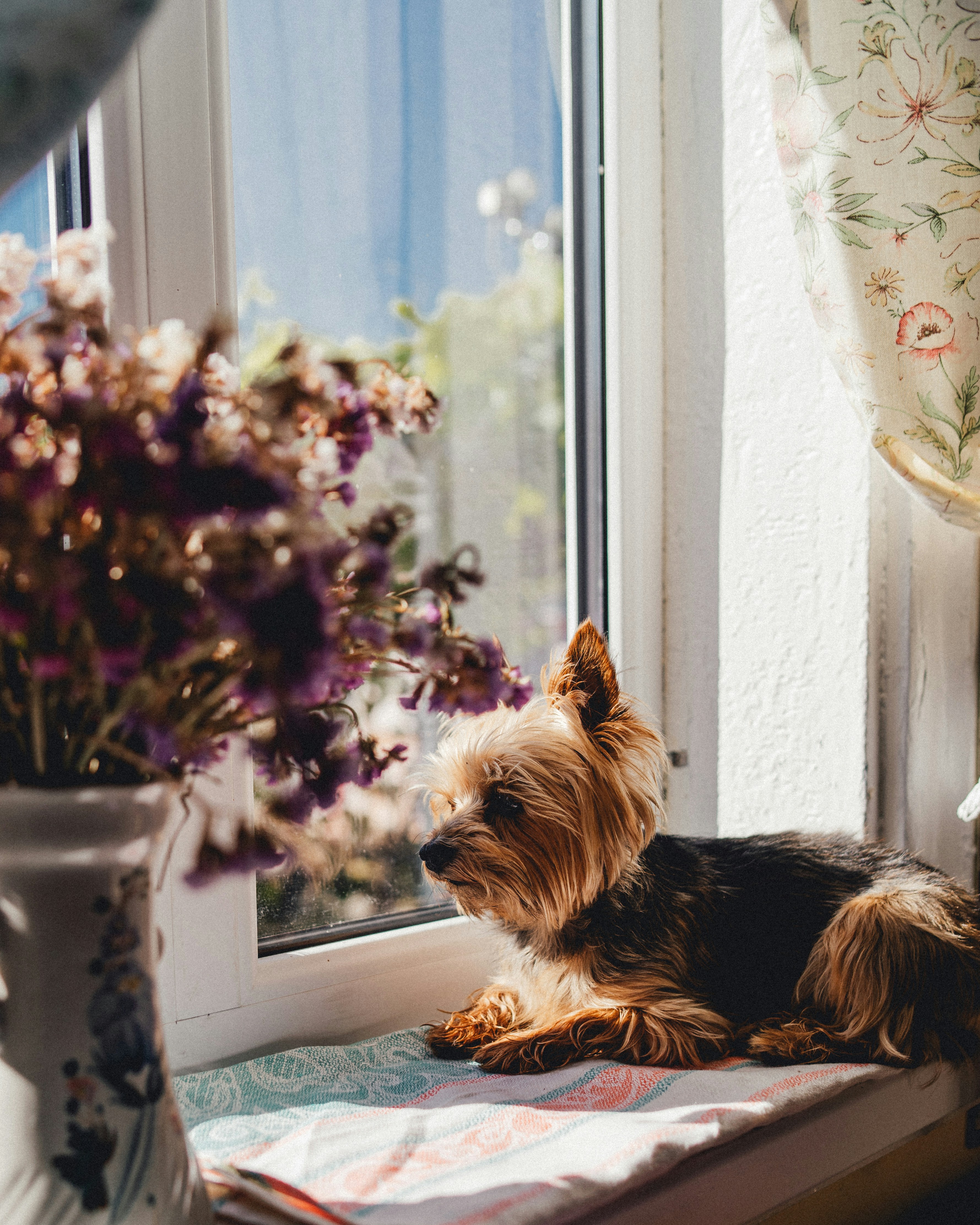 Photo by khodzinskyi