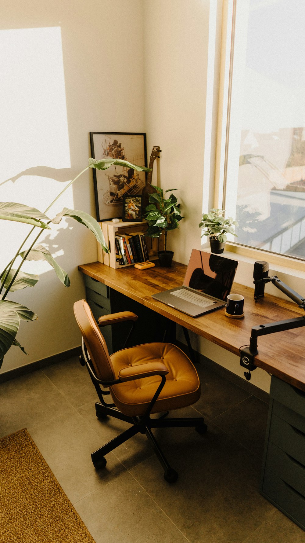 a desk with a laptop and a potted plant