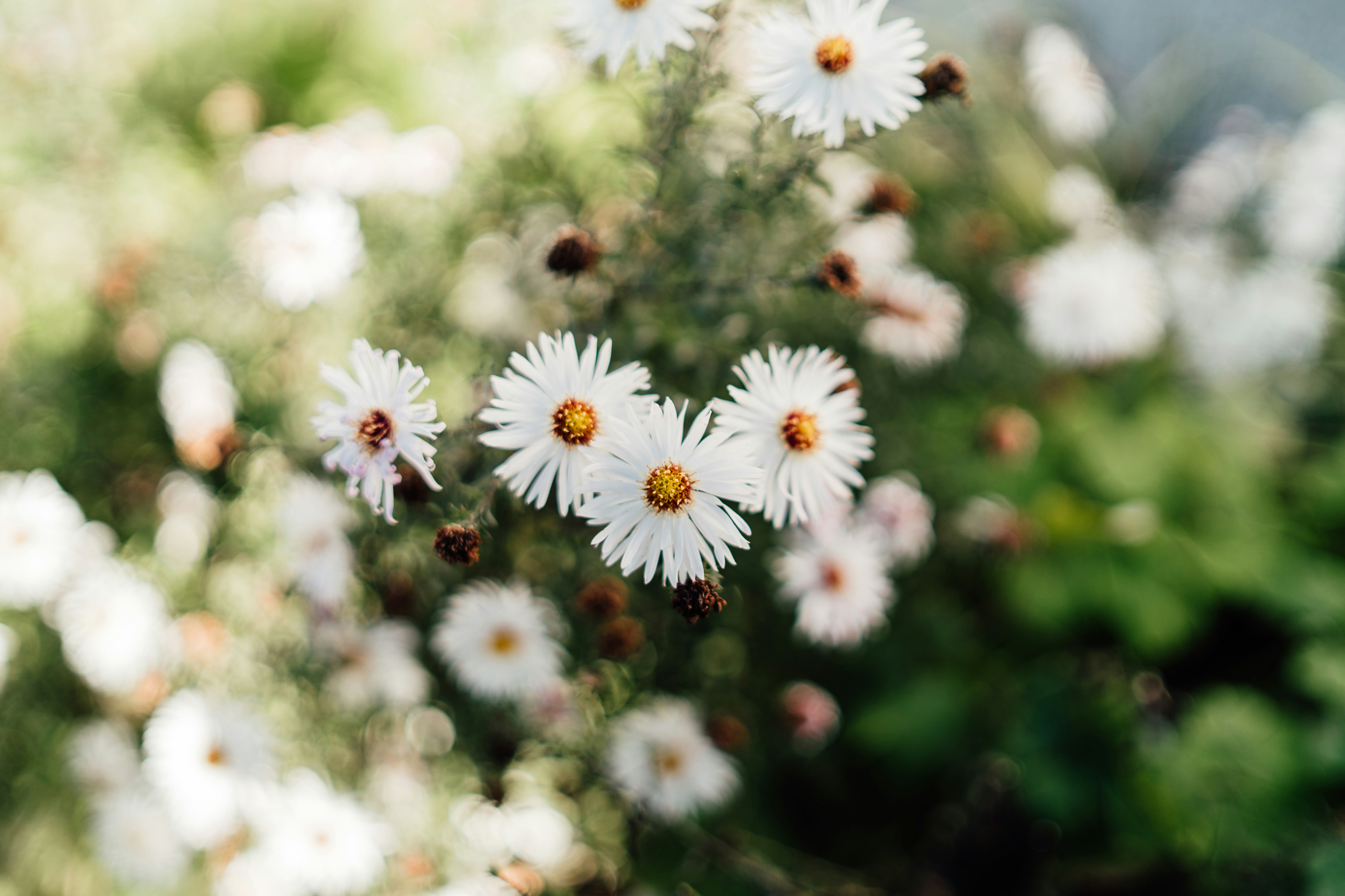 Photo by khodzinskyi