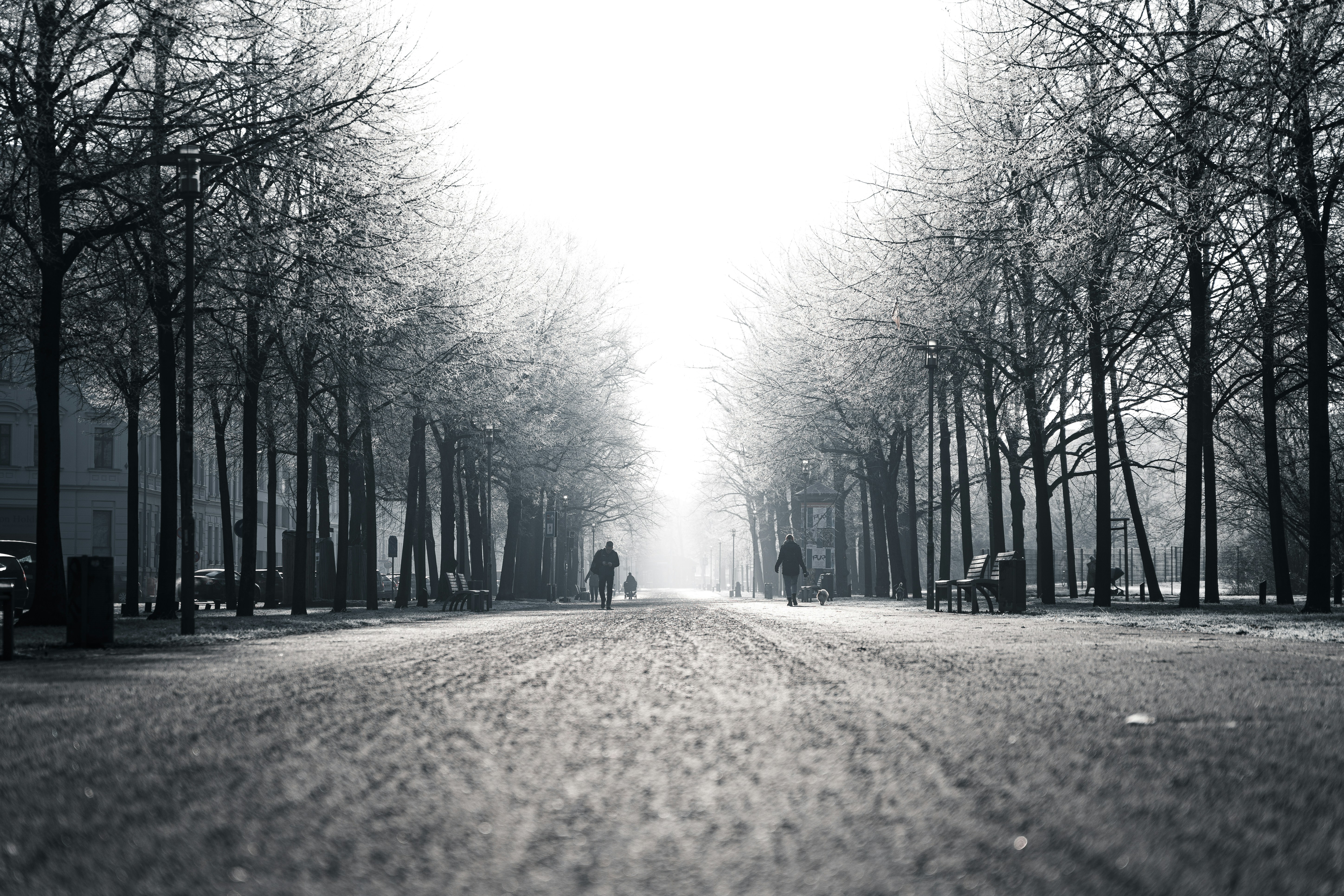 Photo by jerrografie