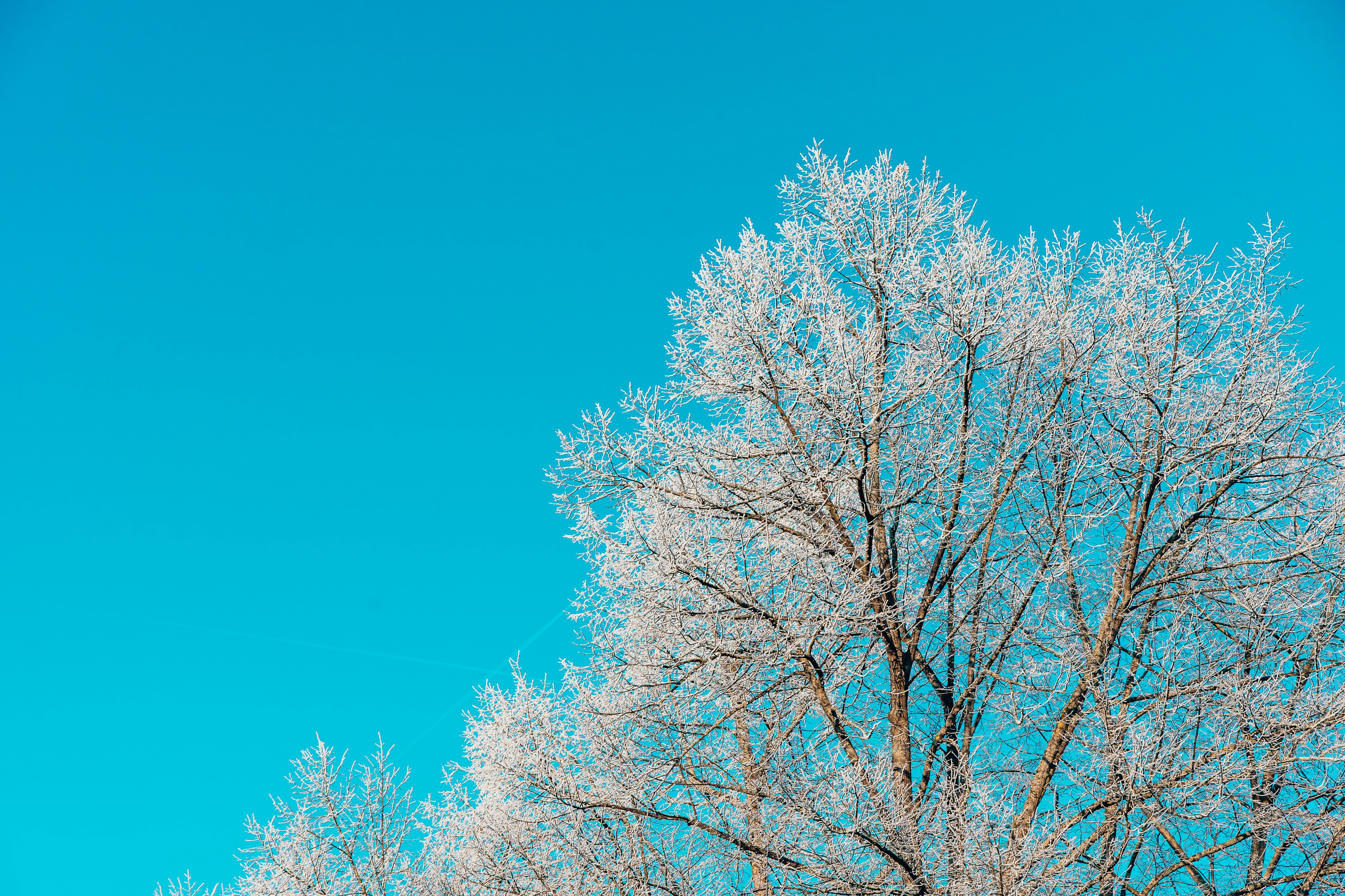 Photo by jerrografie