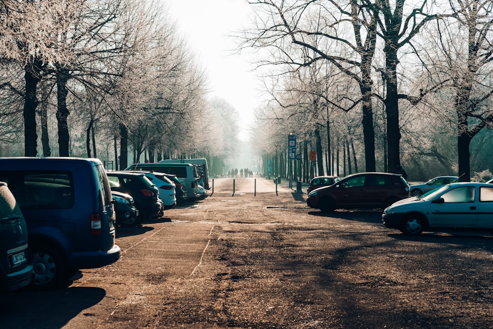 a street lined with parked cars next to trees