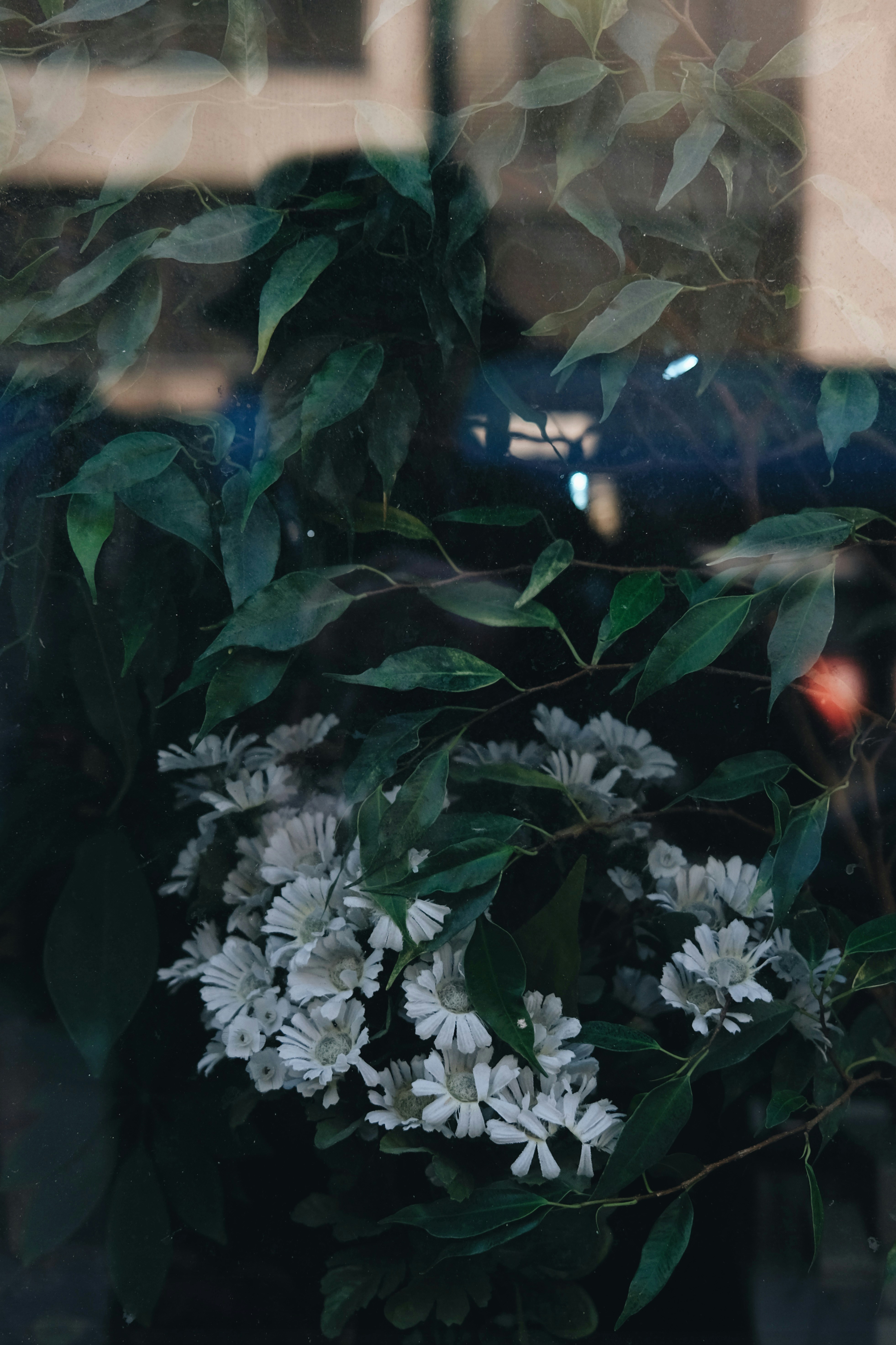 Photo by cherenkevich