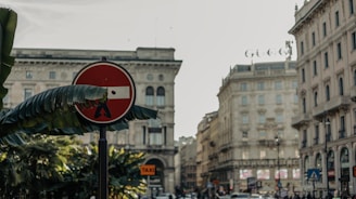 A city scene with classic European architecture in the background, featuring a modified no-entry sign with added artwork of a figure carrying the white bar. A large banana leaf partially covers the sign. The scene includes buildings with ornate facades, and a 'TAXI' sign is visible among other urban elements.
