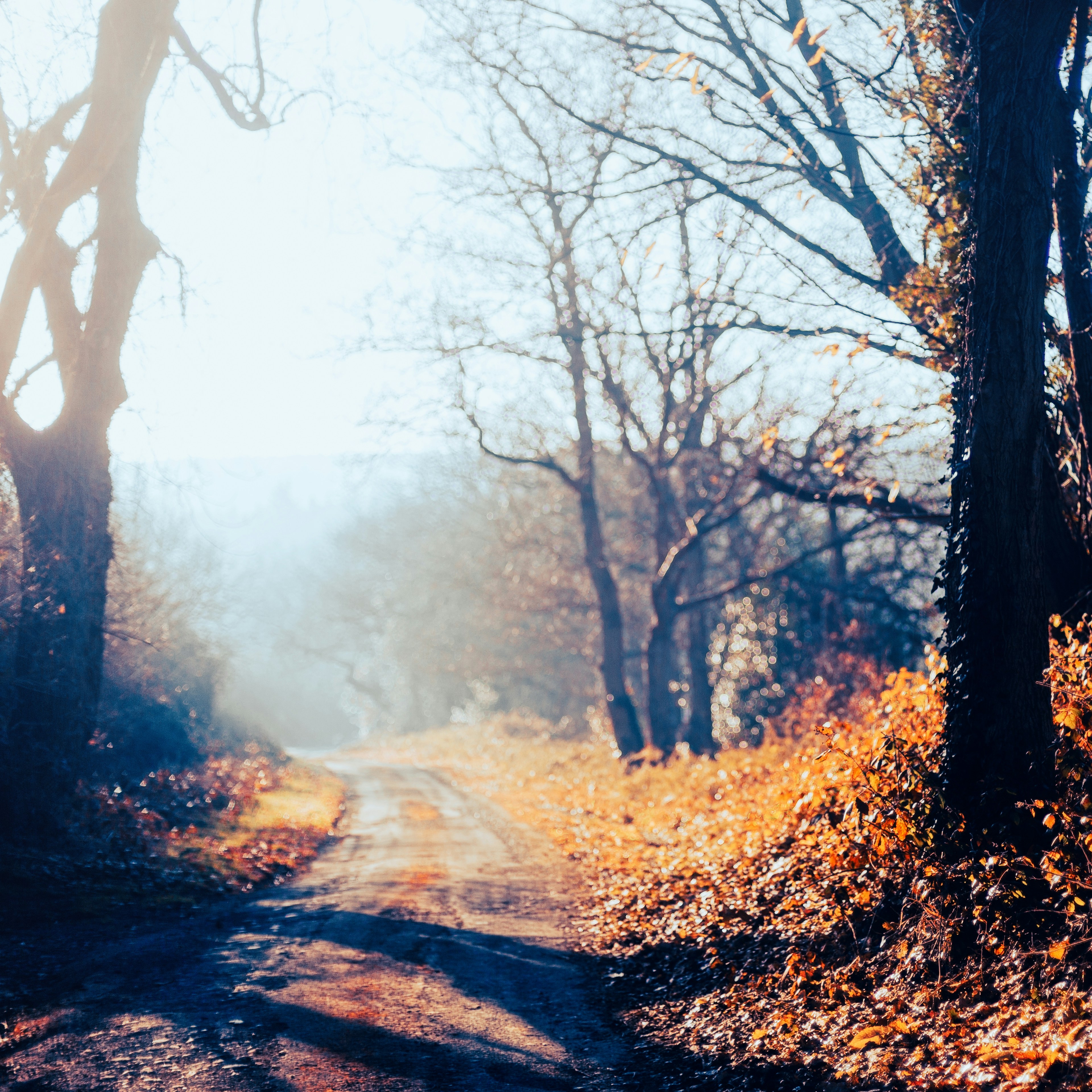 Photo by nataliekinnear