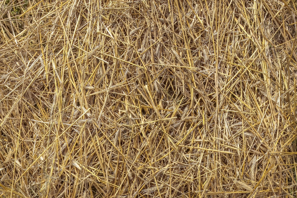 a large pile of hay sitting on top of a field