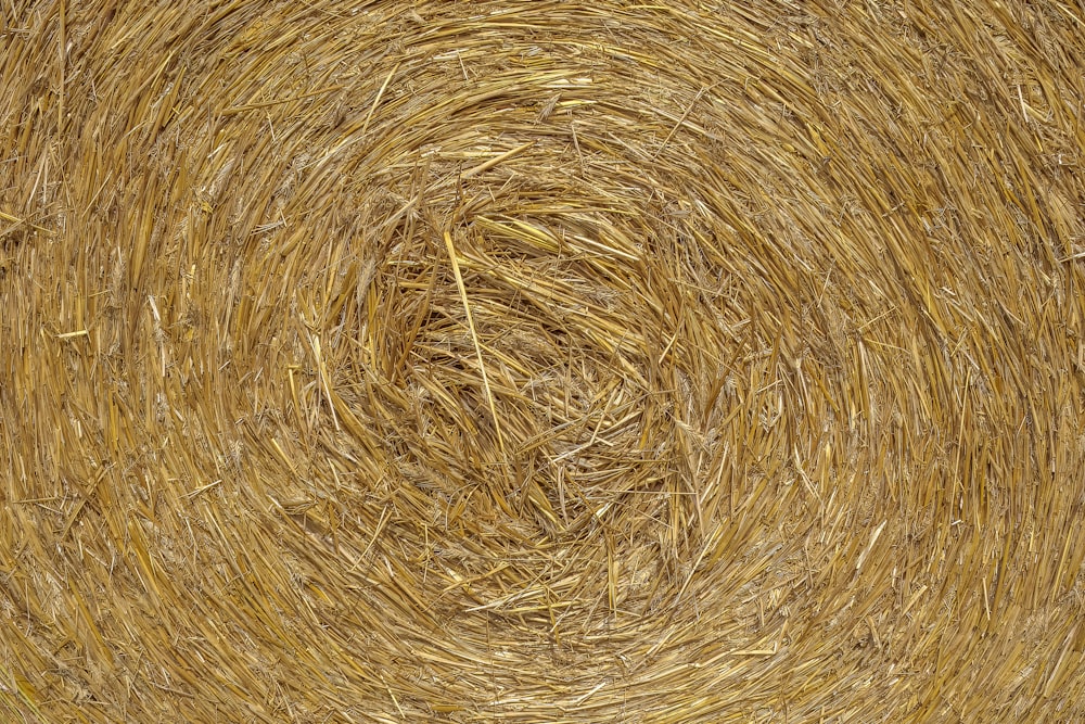 a close up view of a round bale of hay