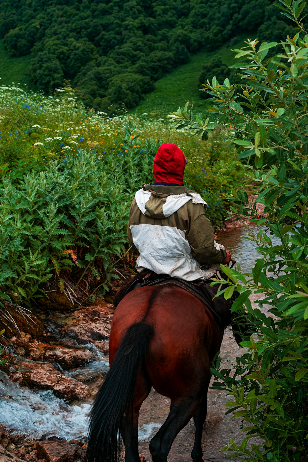 a person riding a horse on a trail