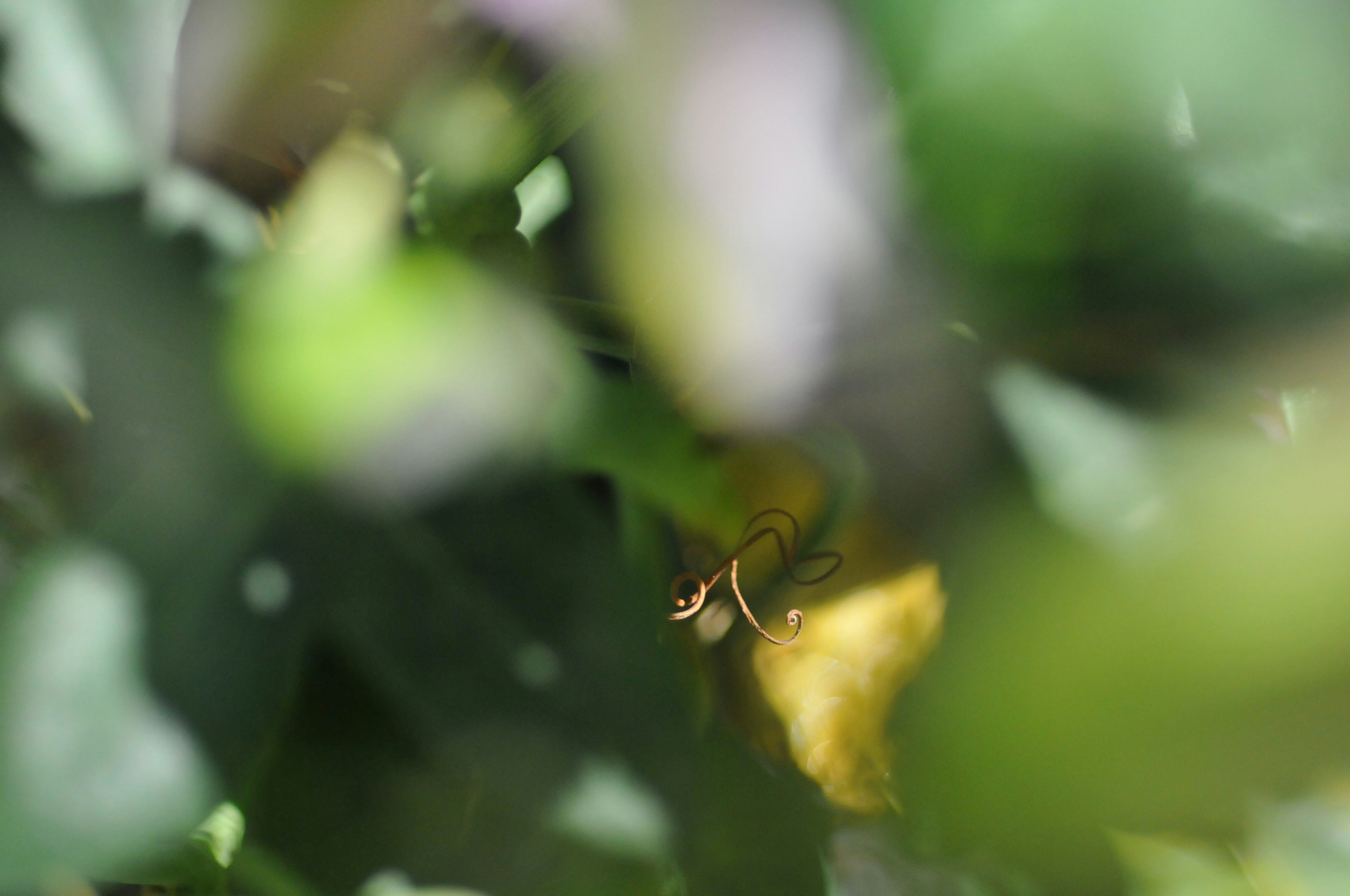 Photo by christian_birkely