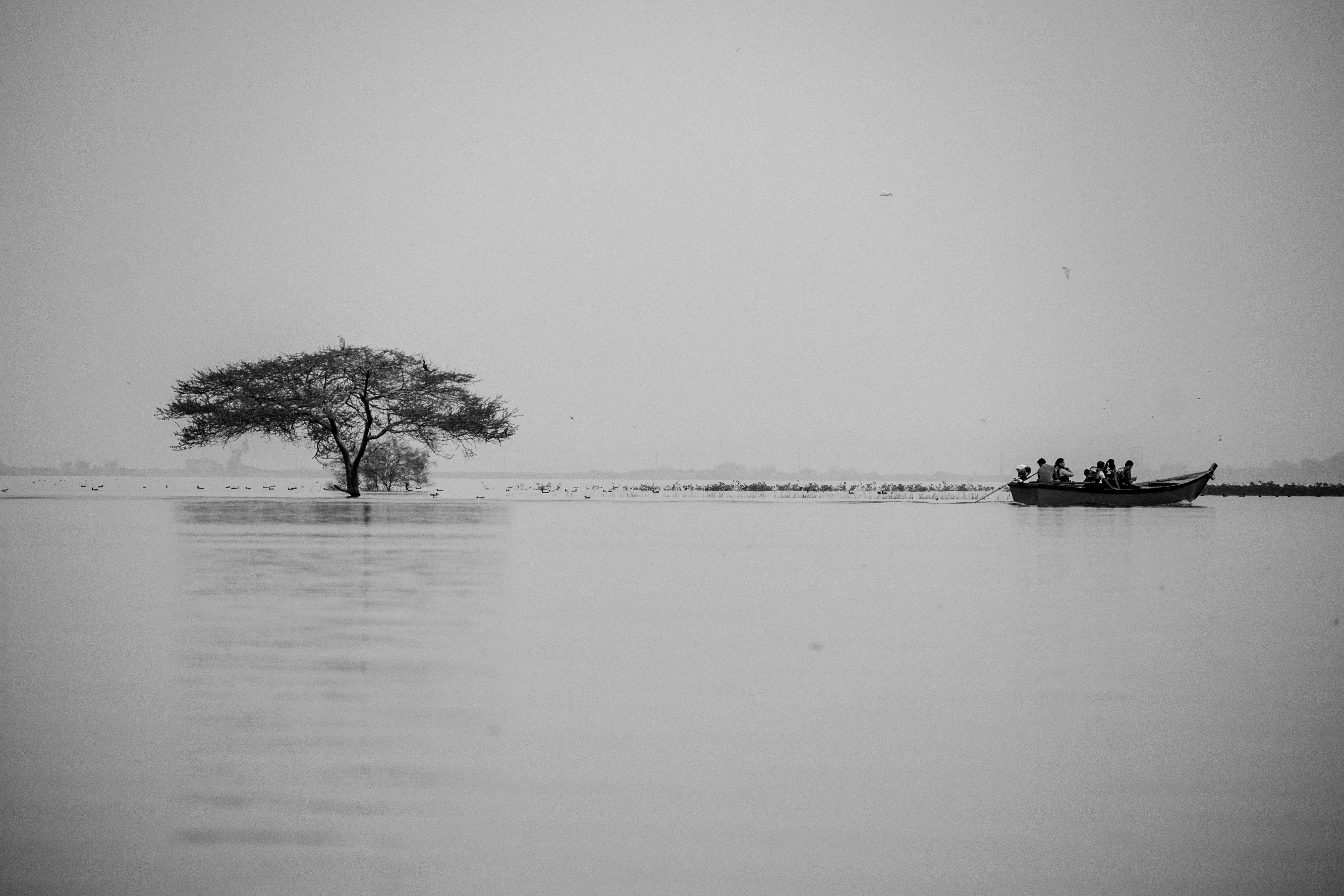 Photo by sonika_agarwal