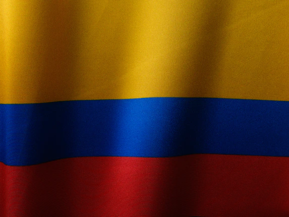 a close up of Columbia's flag