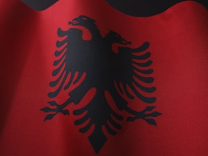 a close up of a red and black flag