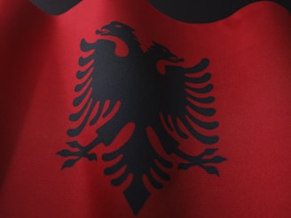 a close up of a red and black flag