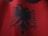 A red flag with a black double-headed eagle emblem in the center. The fabric appears textured and waves gently, creating shadows and highlights.