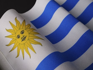a close up of the flag of the country of argentina