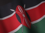 a close up of a flag of the country of kenya