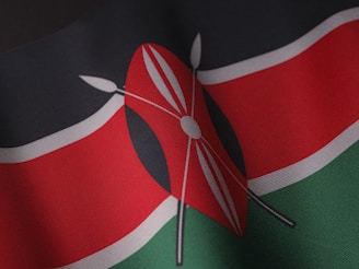 a close up of a flag of the country of kenya