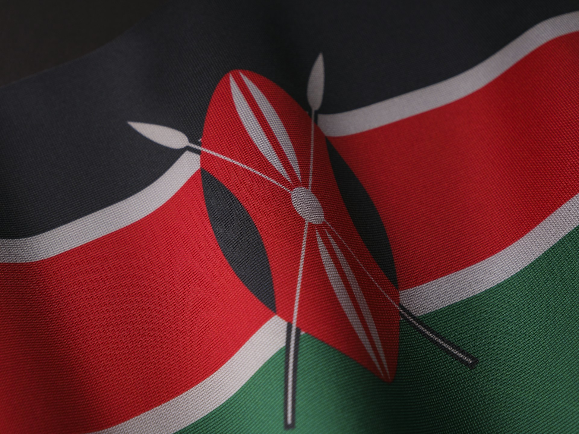 a close up of a flag of the country of kenya
