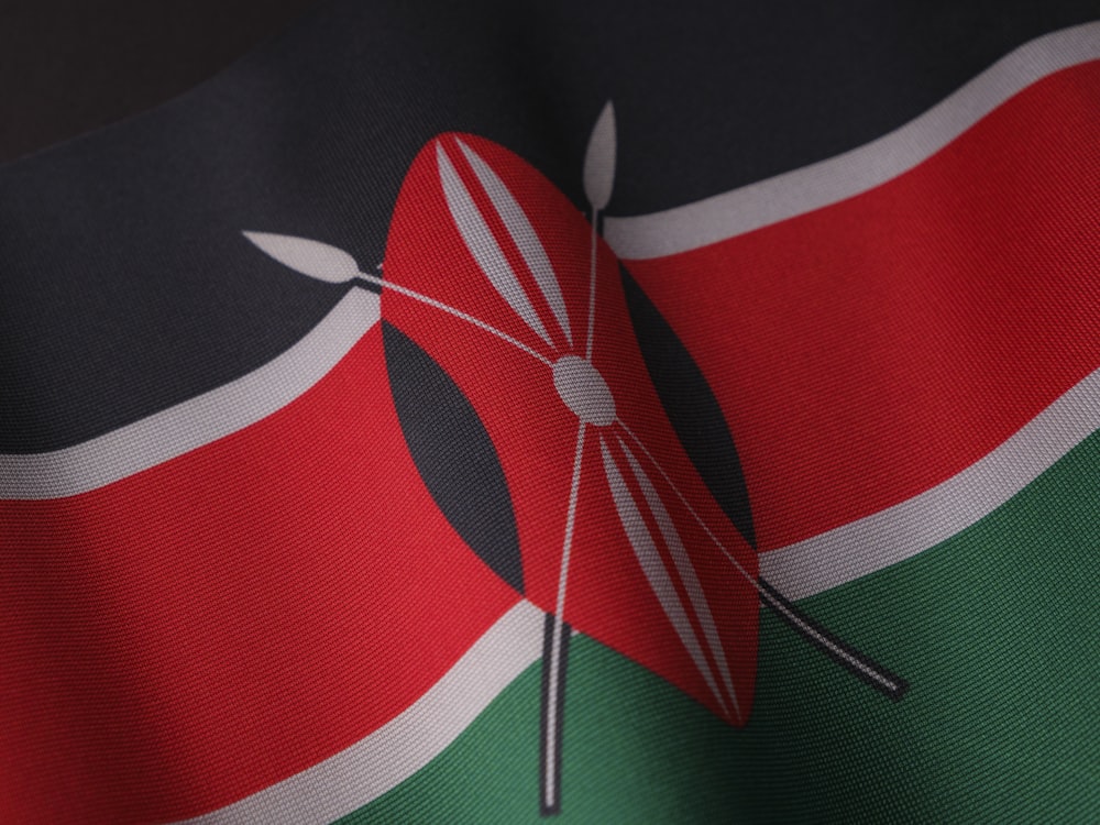 a close up of a flag of the country of kenya