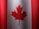 a canadian flag with a red maple leaf on it