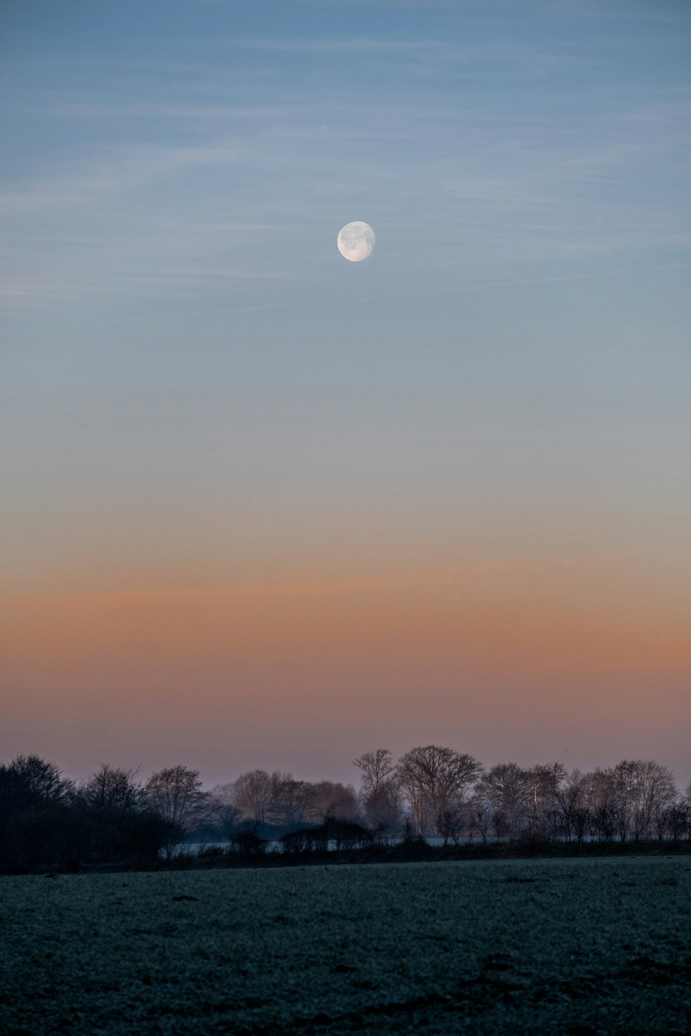 a full moon is seen in the sky over a field