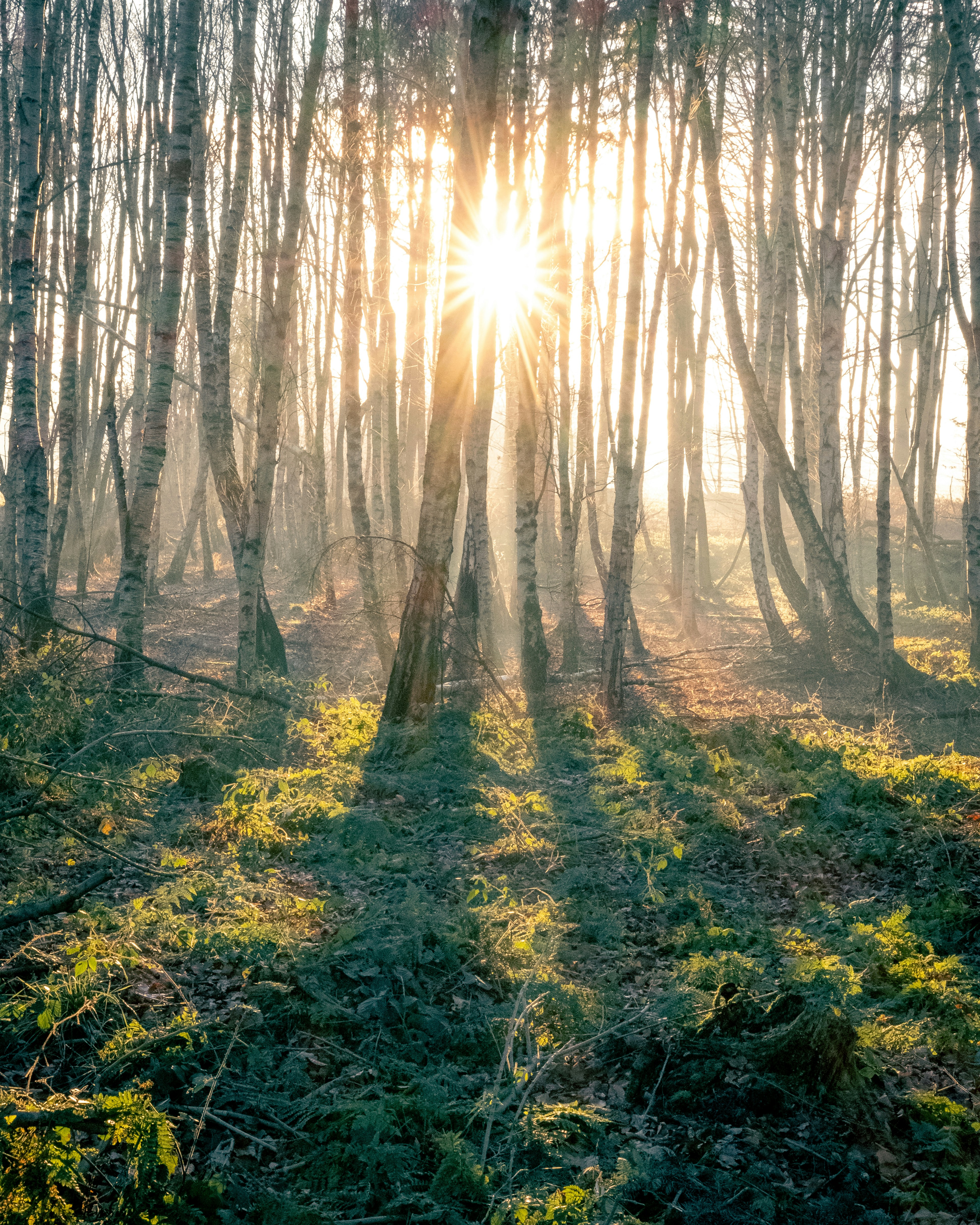 Photo by michaelheld