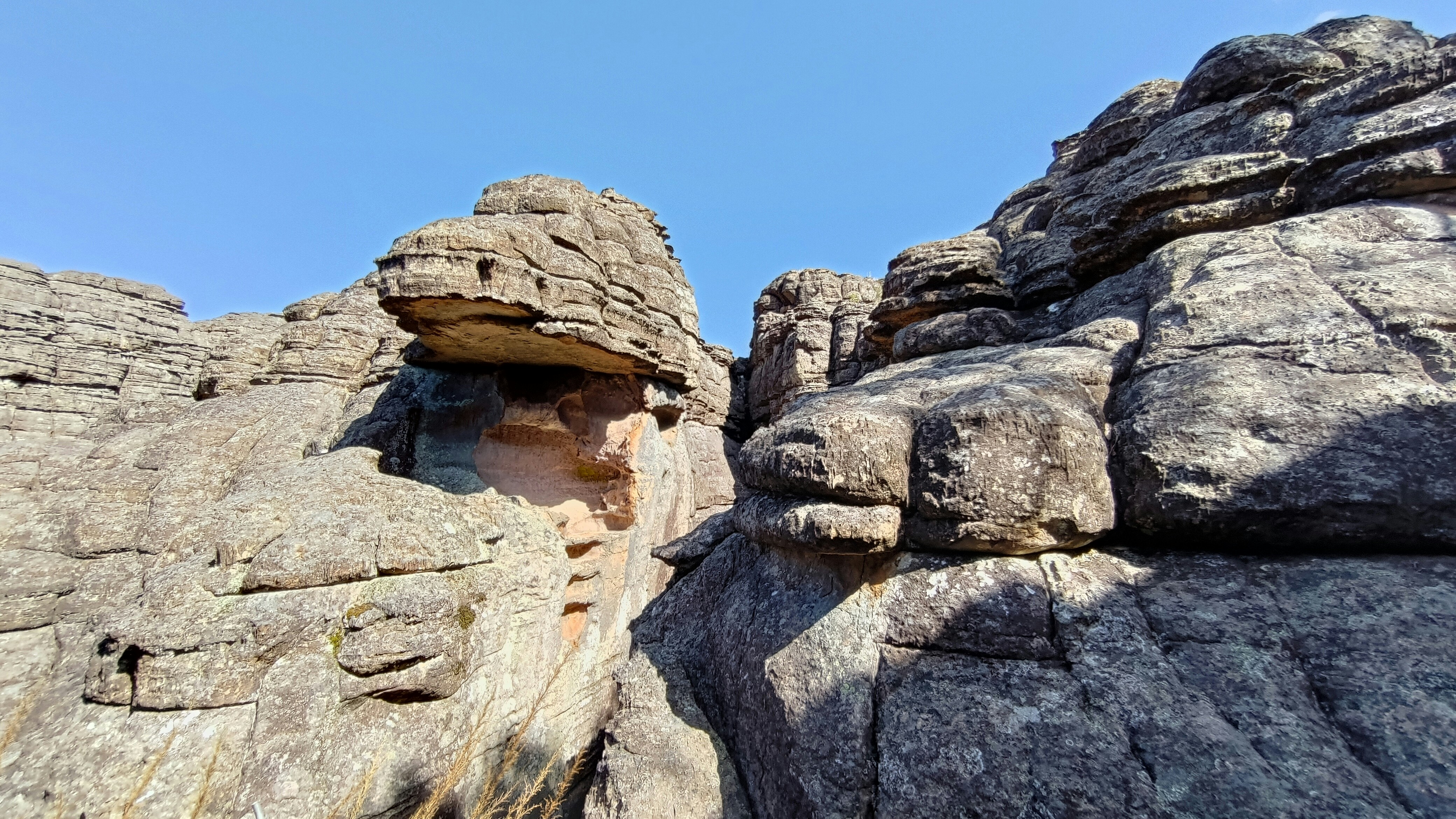 Photo by richard7seals