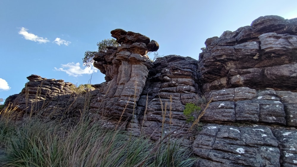 a rock formation with grass growing out of it