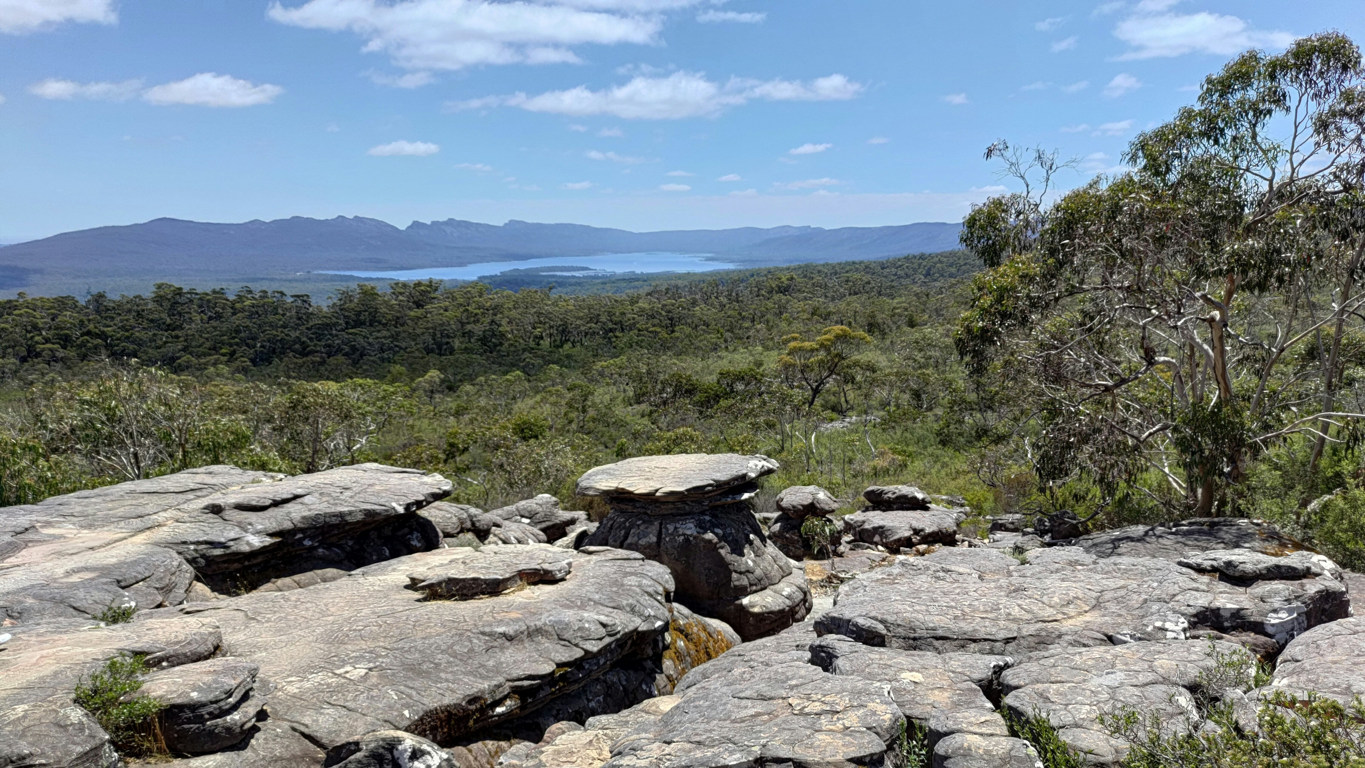 Photo by richard7seals