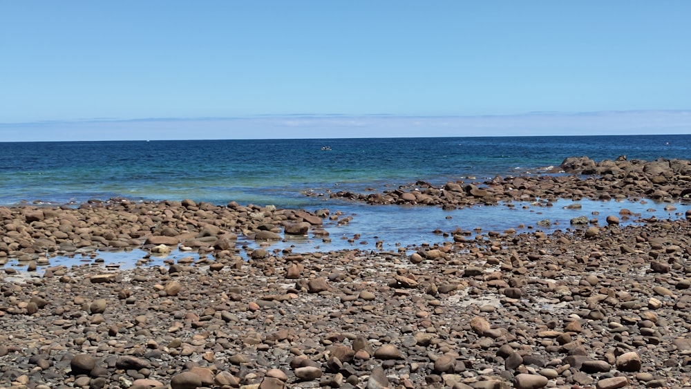 a man riding a surfboard on top of a rocky beach