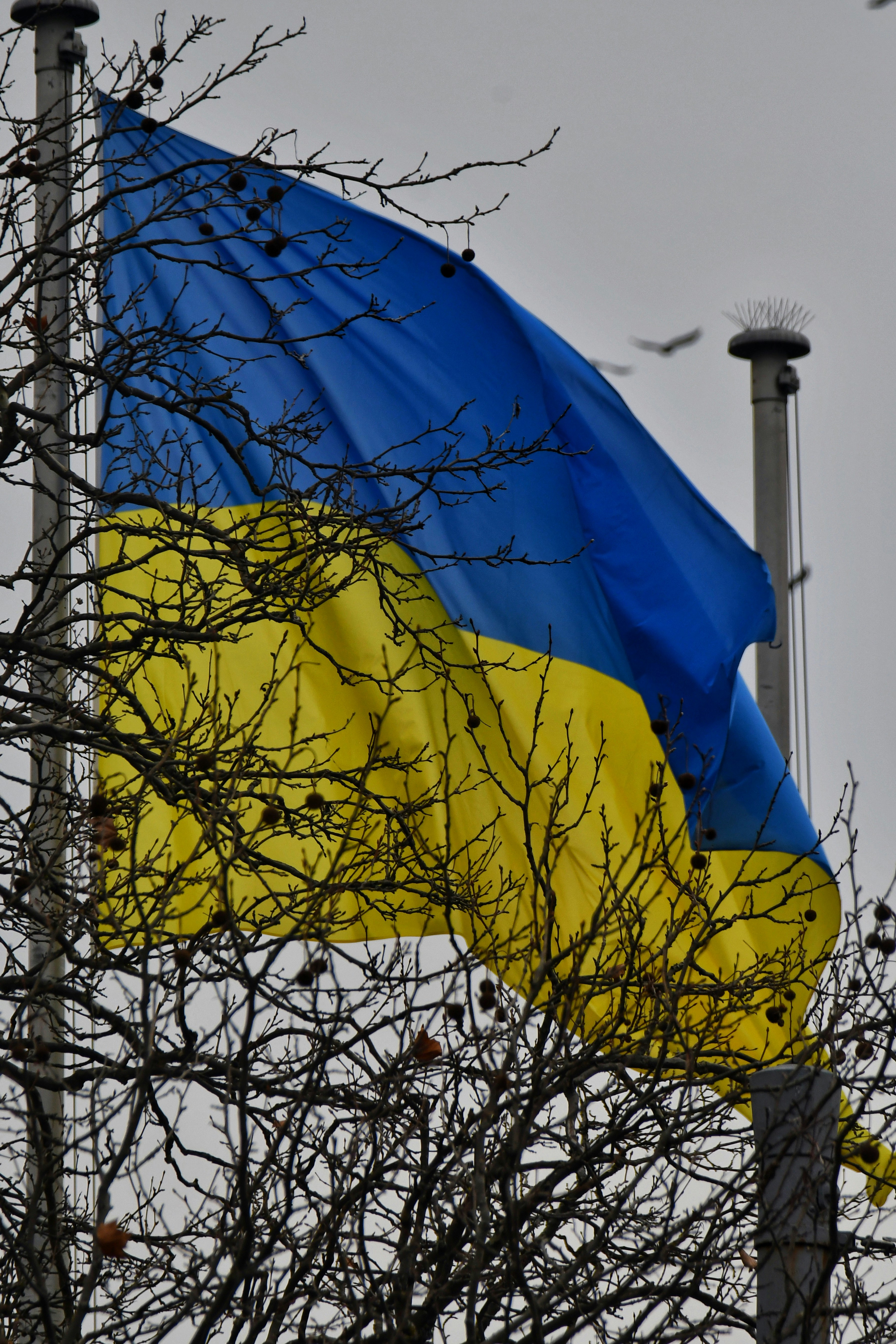 Photo by pedrino5_official