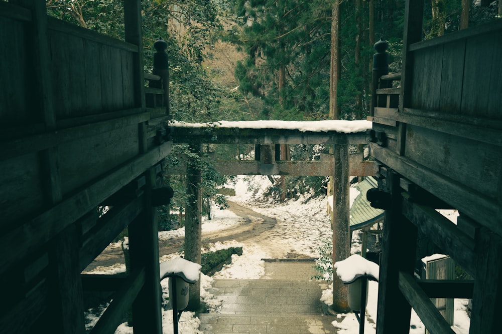 a wooden walkway in the middle of a snowy forest