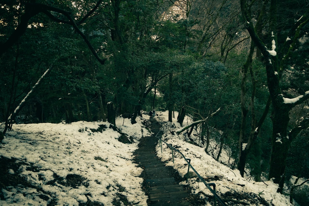 a snow covered path in a forest with trees