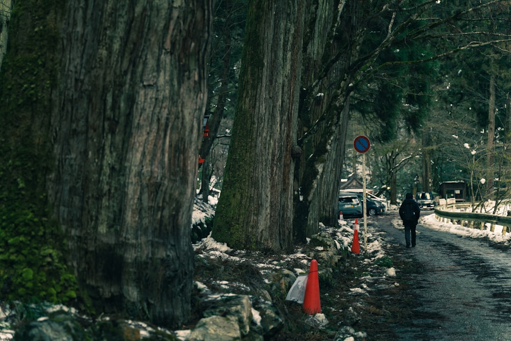 a man walking down a snow covered road next to trees