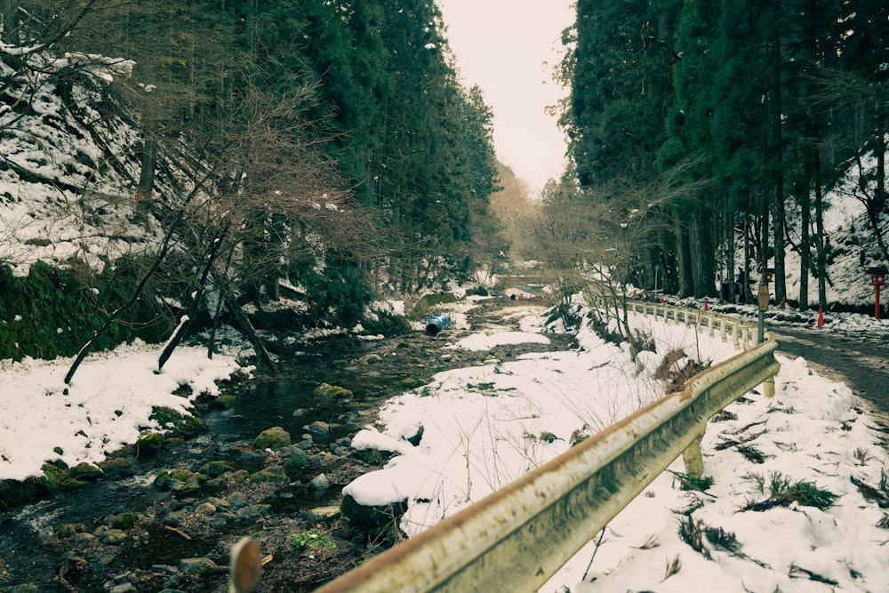 a river running through a snow covered forest