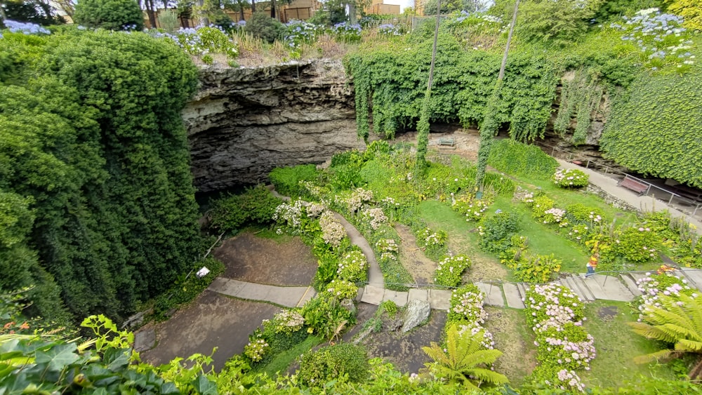 緑豊かな庭園とそれに続く階段