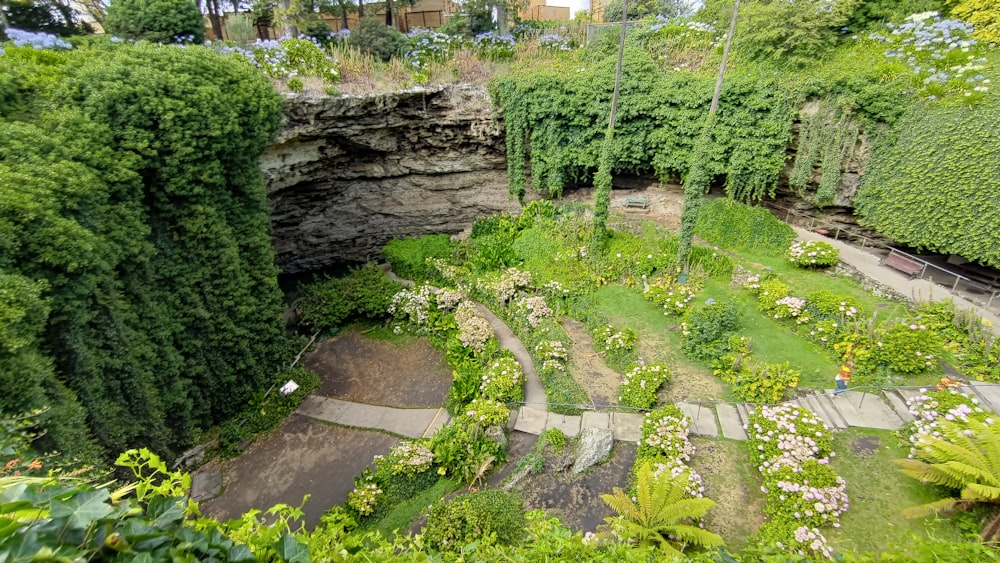 a lush green garden with steps leading up to it